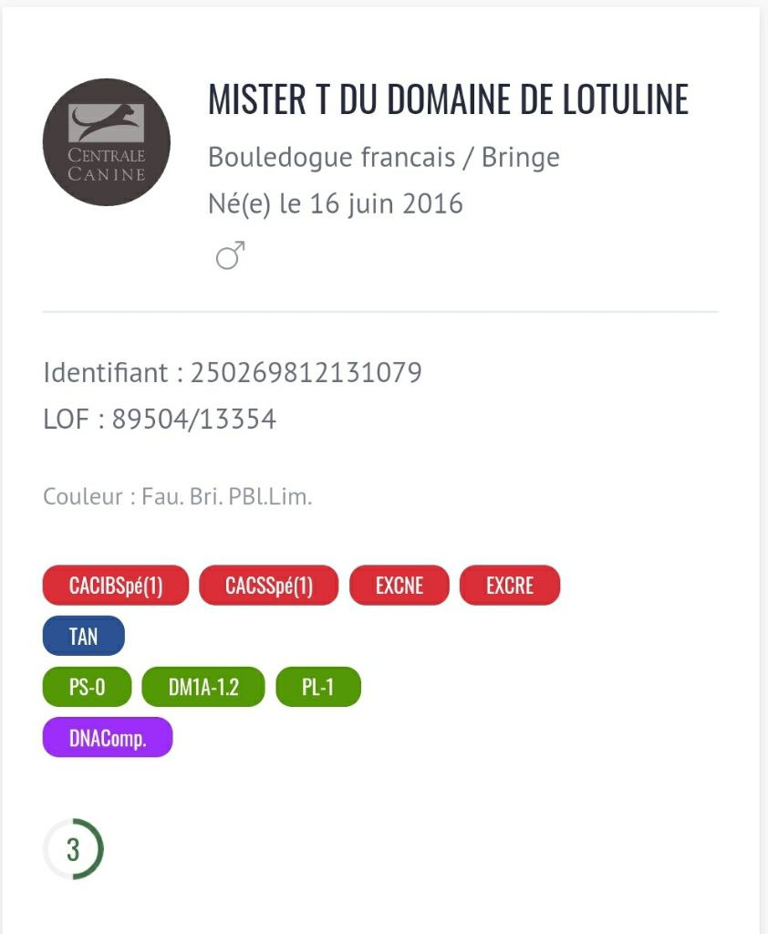 Mister t Du Domaine De Lotuline
